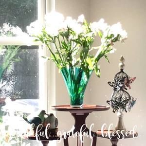 Meet your Posher, Arlene